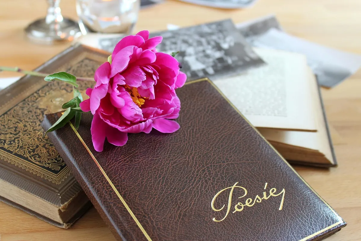 How to Review a Poetry Collection: A Beginner's Guide for Book Bloggers