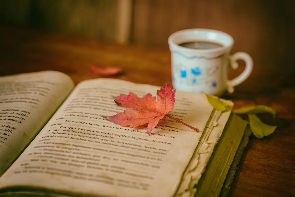 Plot vs. Story vs. Narrative: What's the Difference?