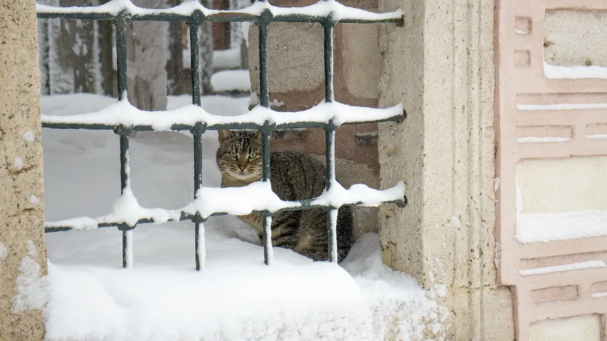 Winter Writing Prompts: 15 Seasonal Story Starters for Short Fiction